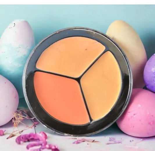 Full Cover Up Pro Concealer Palette (Pack of 2)